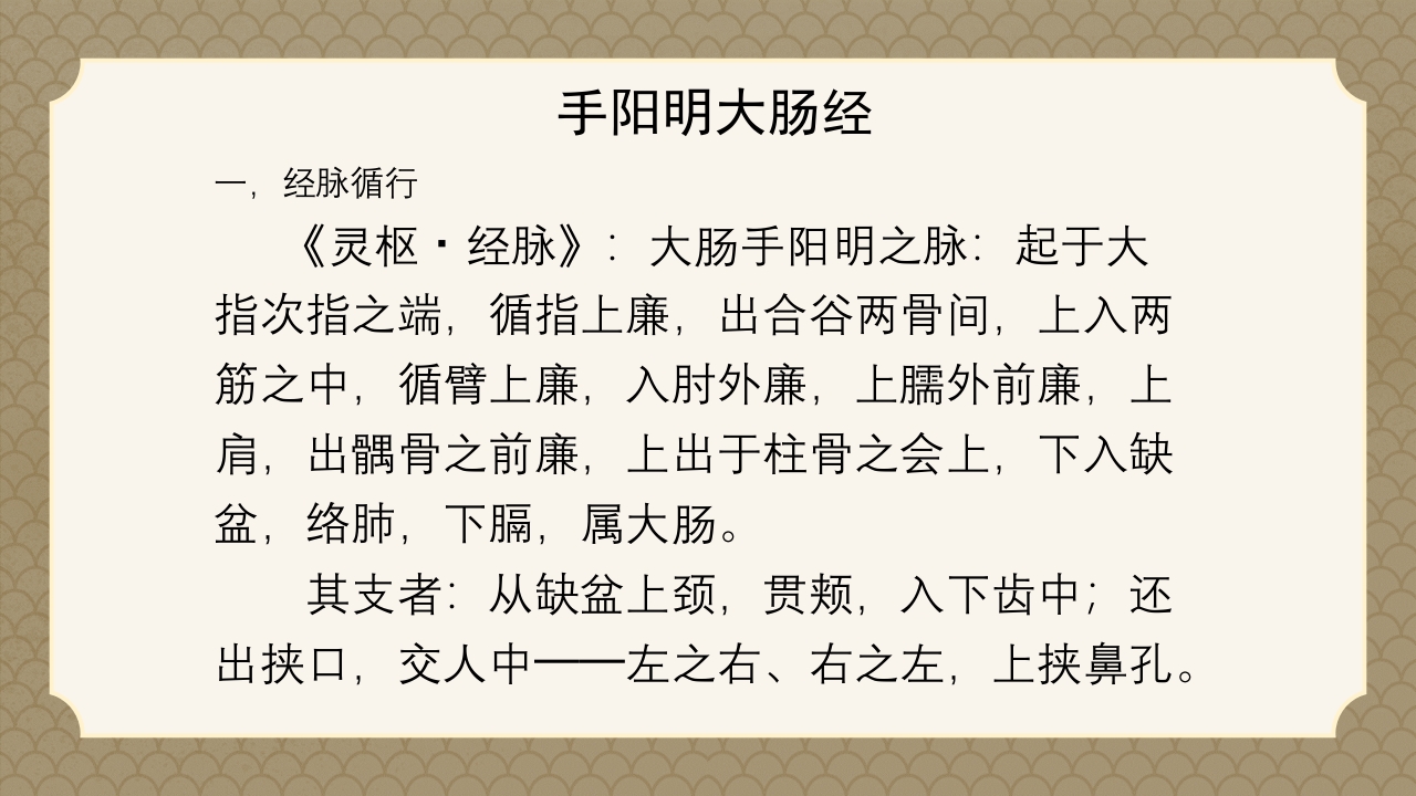中医经络之《手阳明大肠经》PPT课件3