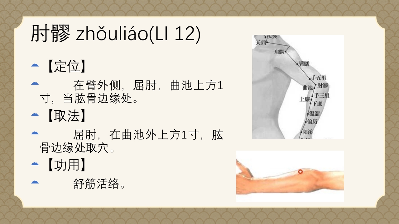 中医经络之《手阳明大肠经》PPT课件42