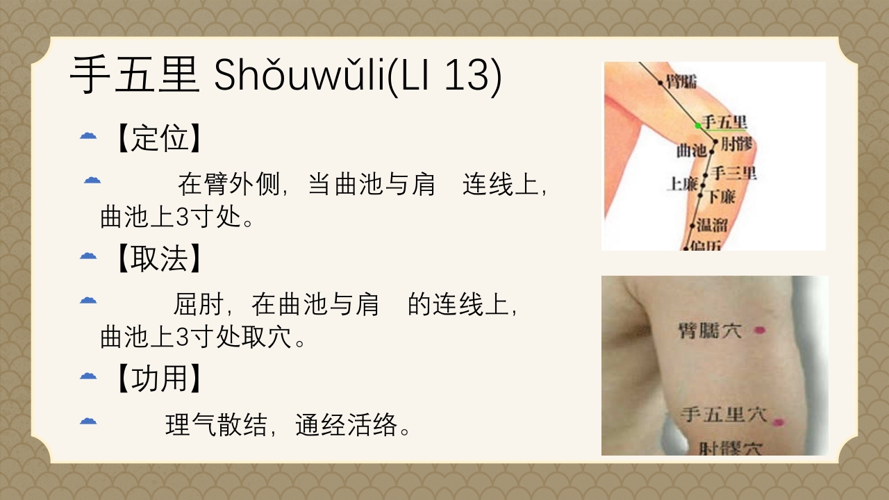 中医经络之《手阳明大肠经》PPT课件45