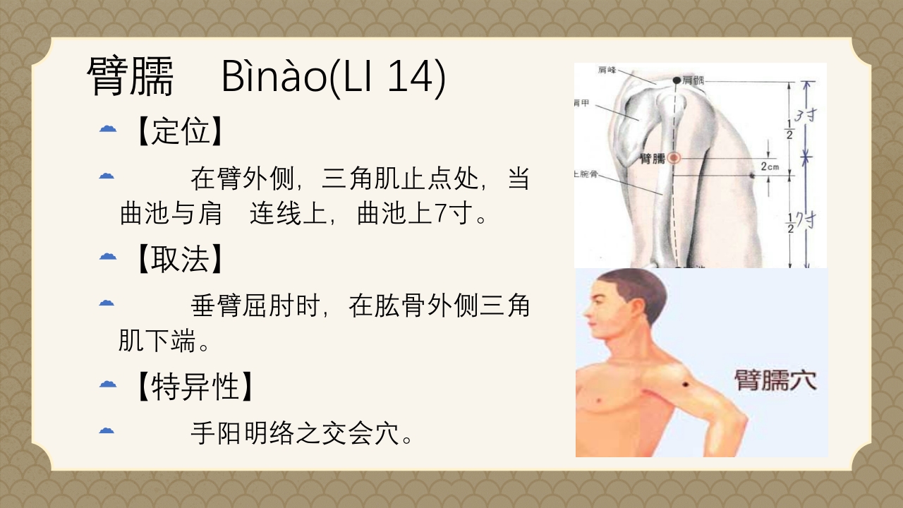 中医经络之《手阳明大肠经》PPT课件48