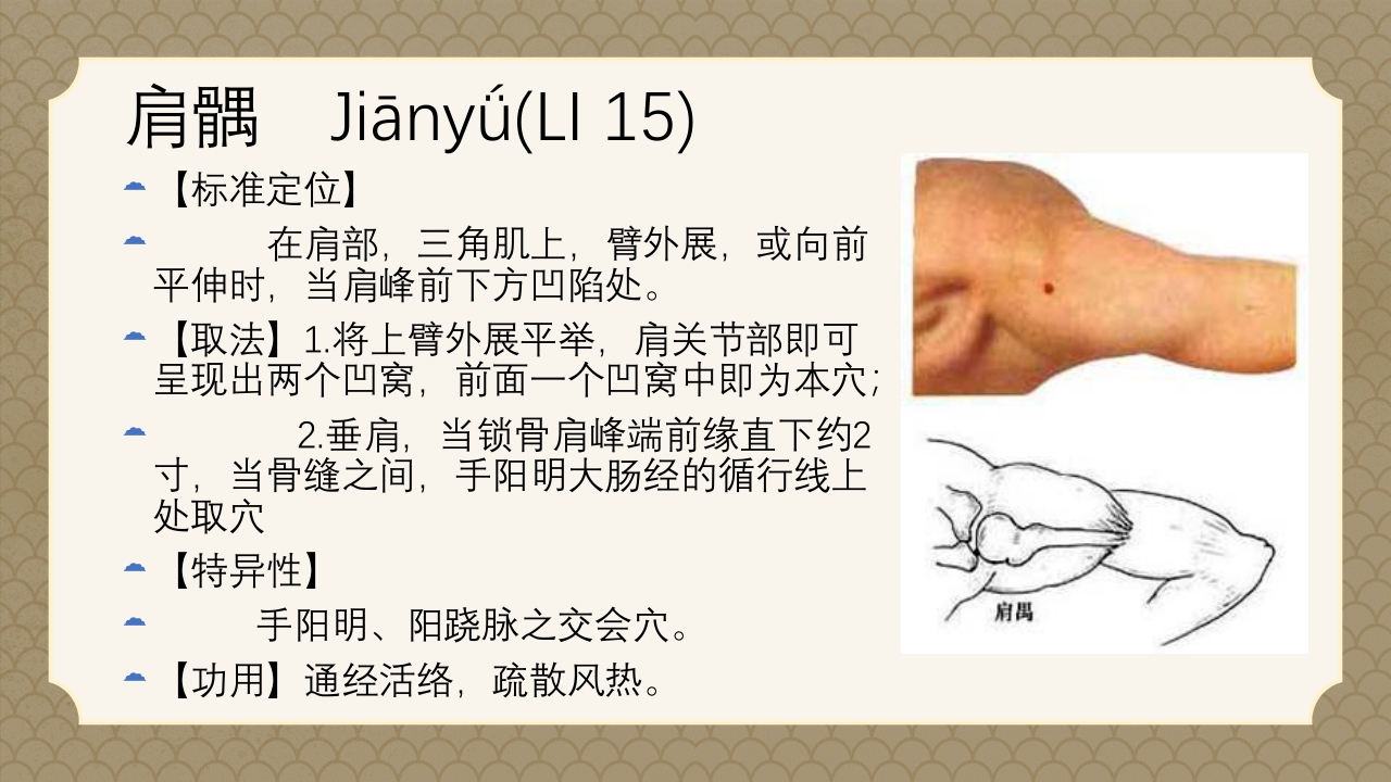 中医经络之《手阳明大肠经》PPT课件51