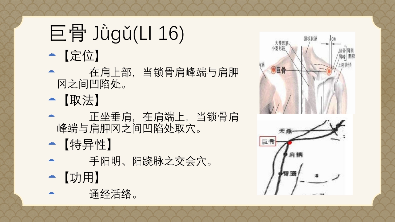 中医经络之《手阳明大肠经》PPT课件54