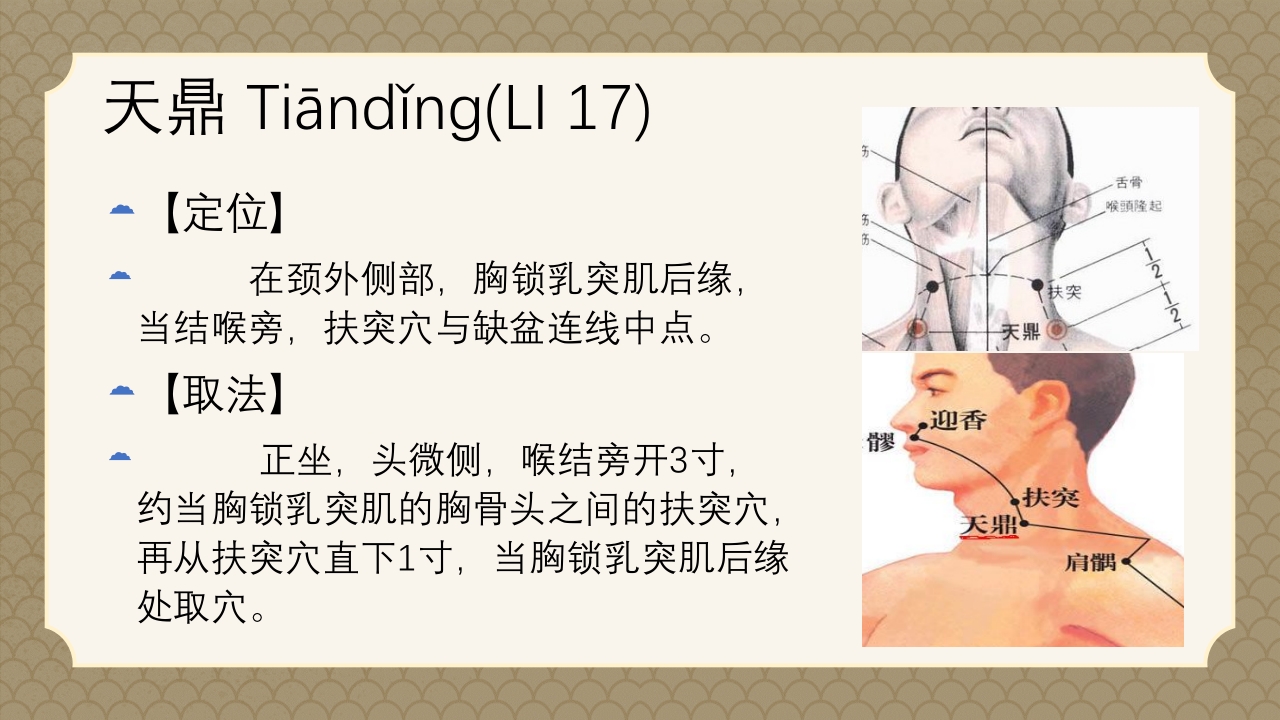 中医经络之《手阳明大肠经》PPT课件57