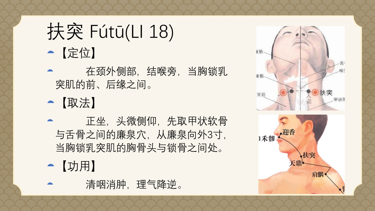 中医经络之《手阳明大肠经》PPT课件60