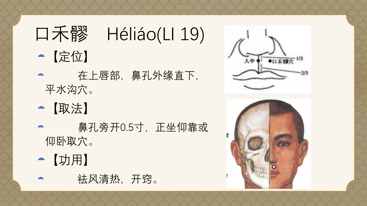 中医经络之《手阳明大肠经》PPT课件63