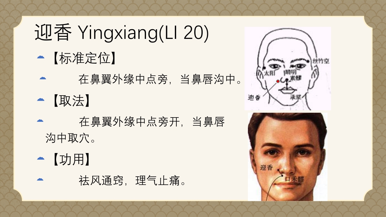 中医经络之《手阳明大肠经》PPT课件66