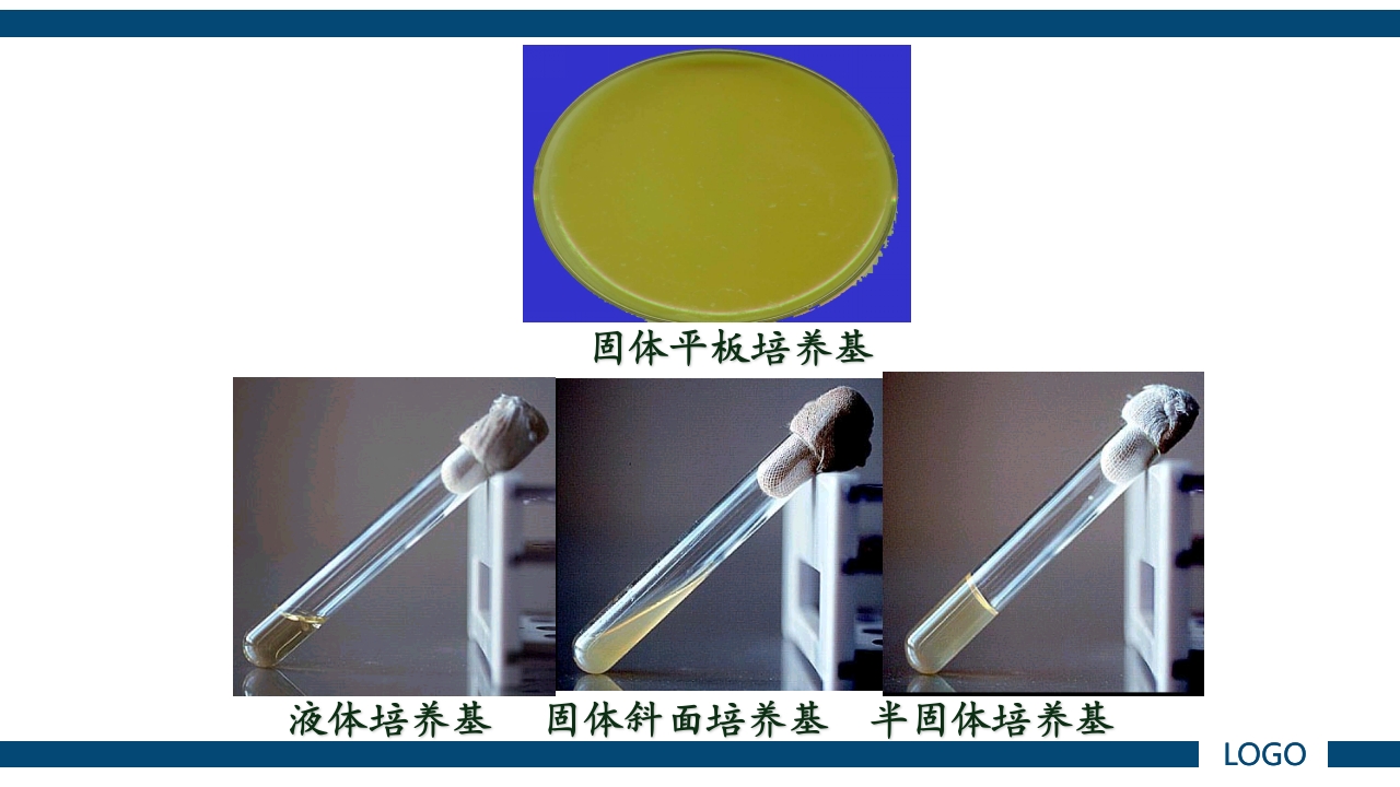 微生物实验·细菌的人工培养及形态学检查PPT课件10
