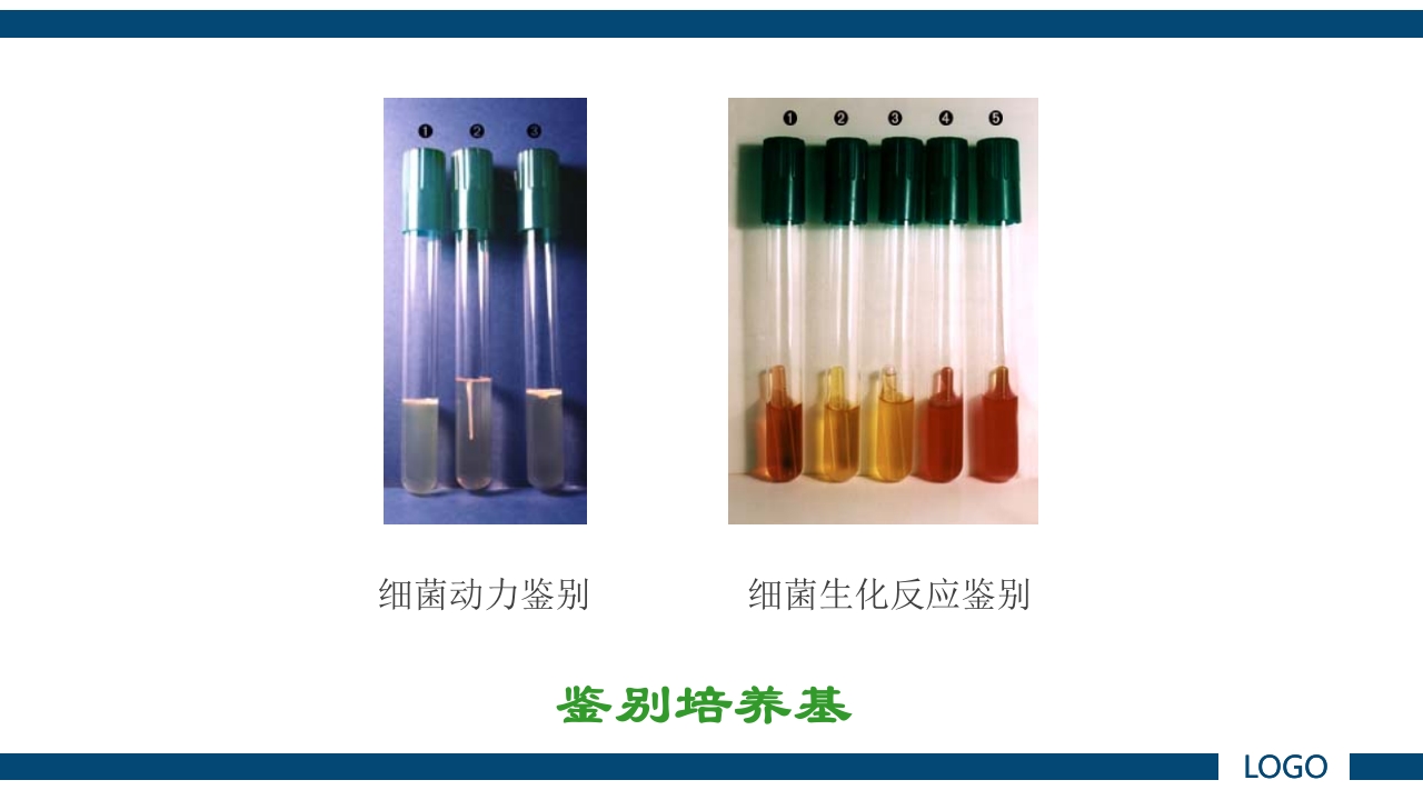 微生物实验·细菌的人工培养及形态学检查PPT课件15