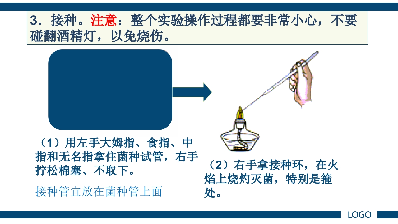 微生物实验·细菌的人工培养及形态学检查PPT课件18