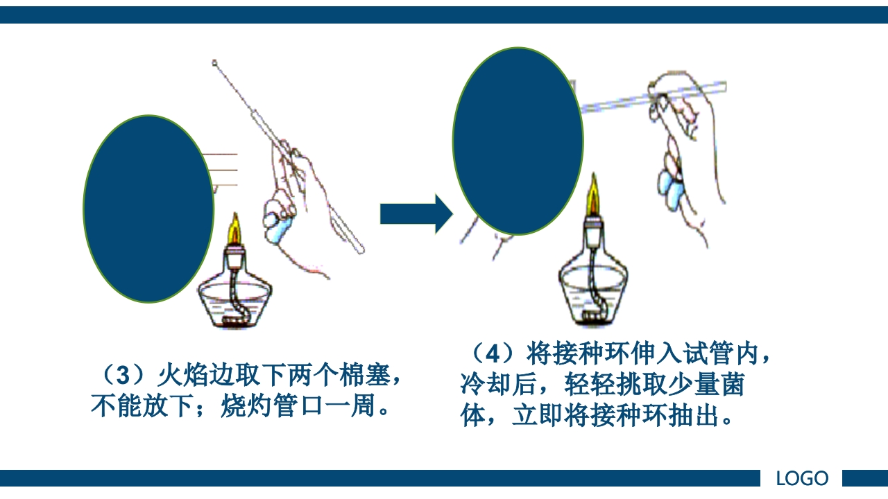 微生物实验·细菌的人工培养及形态学检查PPT课件19