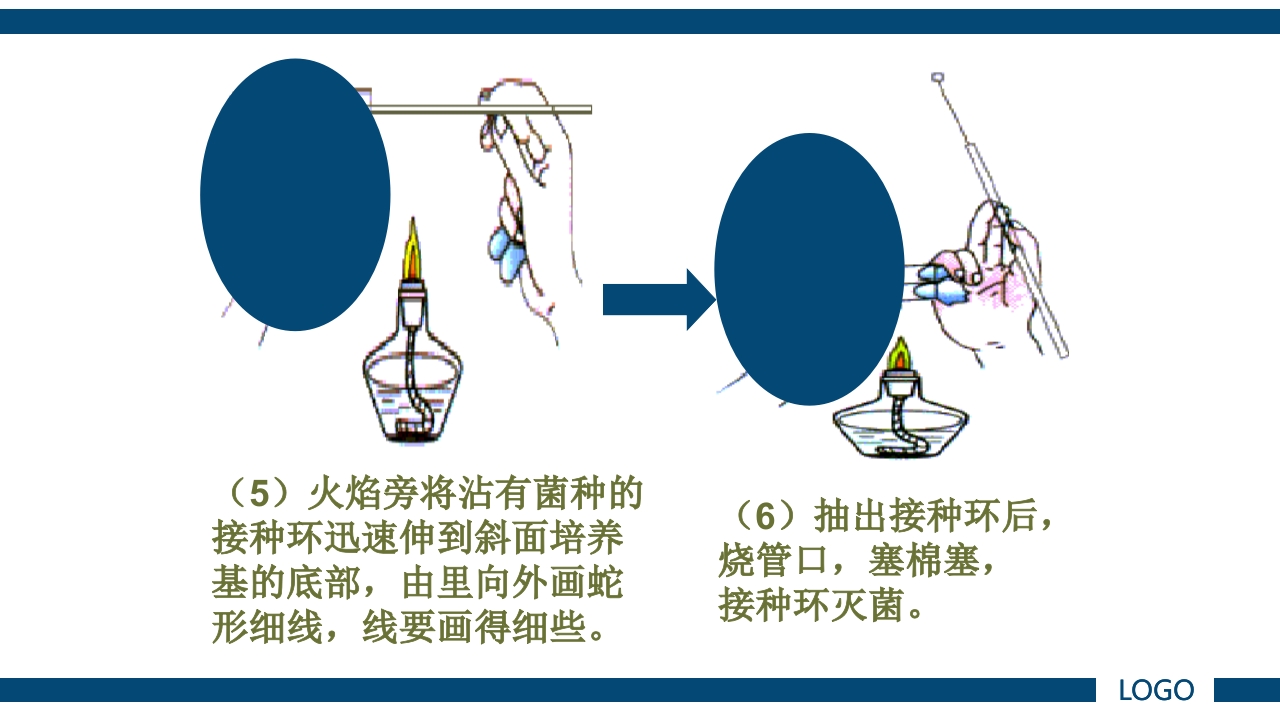 微生物实验·细菌的人工培养及形态学检查PPT课件20
