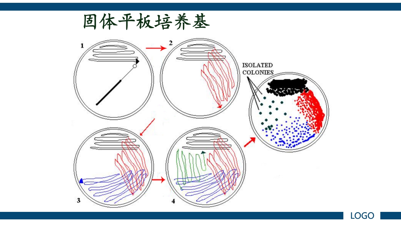 微生物实验·细菌的人工培养及形态学检查PPT课件22