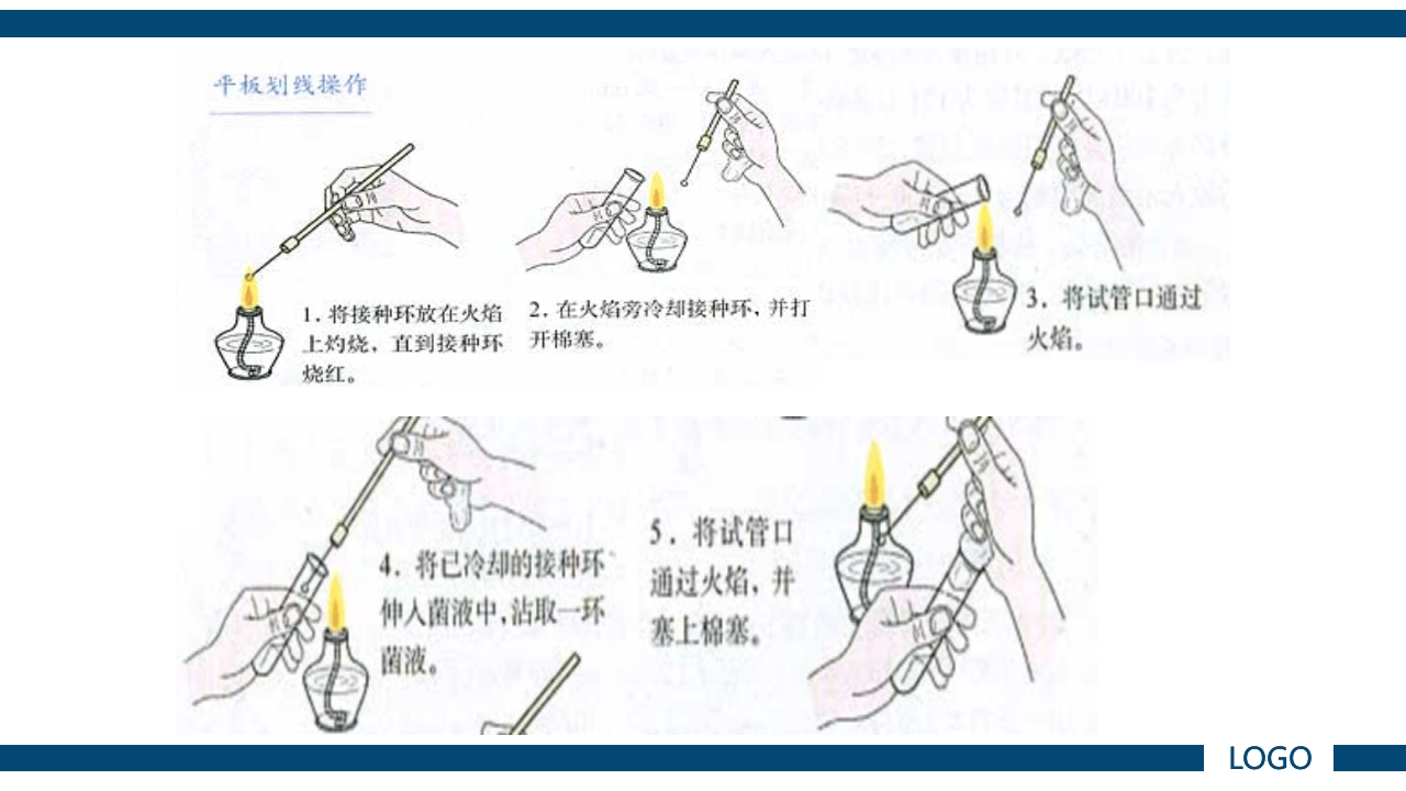 微生物实验·细菌的人工培养及形态学检查PPT课件23