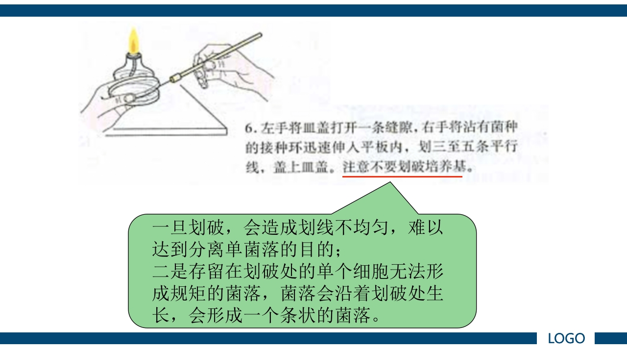 微生物实验·细菌的人工培养及形态学检查PPT课件24