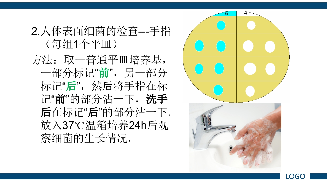 微生物实验·细菌的人工培养及形态学检查PPT课件31