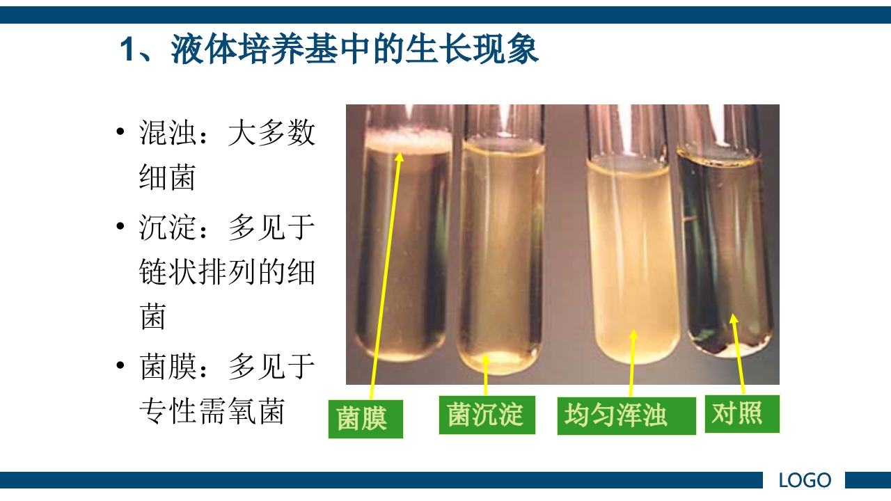 微生物实验·细菌的人工培养及形态学检查PPT课件42