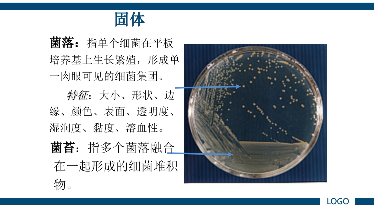 微生物实验·细菌的人工培养及形态学检查PPT课件44