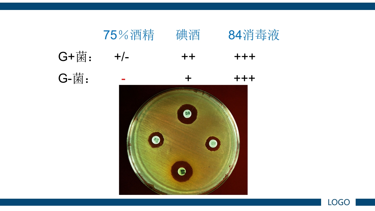 微生物实验·细菌的人工培养及形态学检查PPT课件52