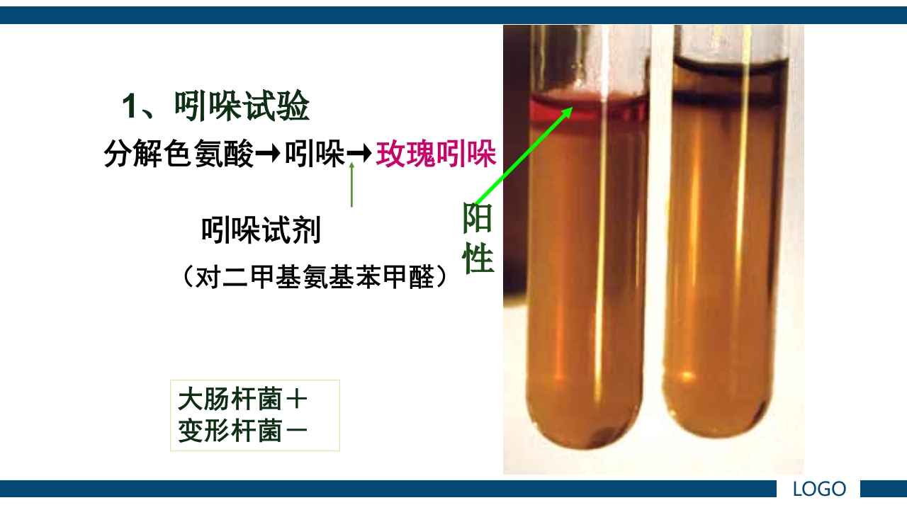微生物实验·细菌的人工培养及形态学检查PPT课件54