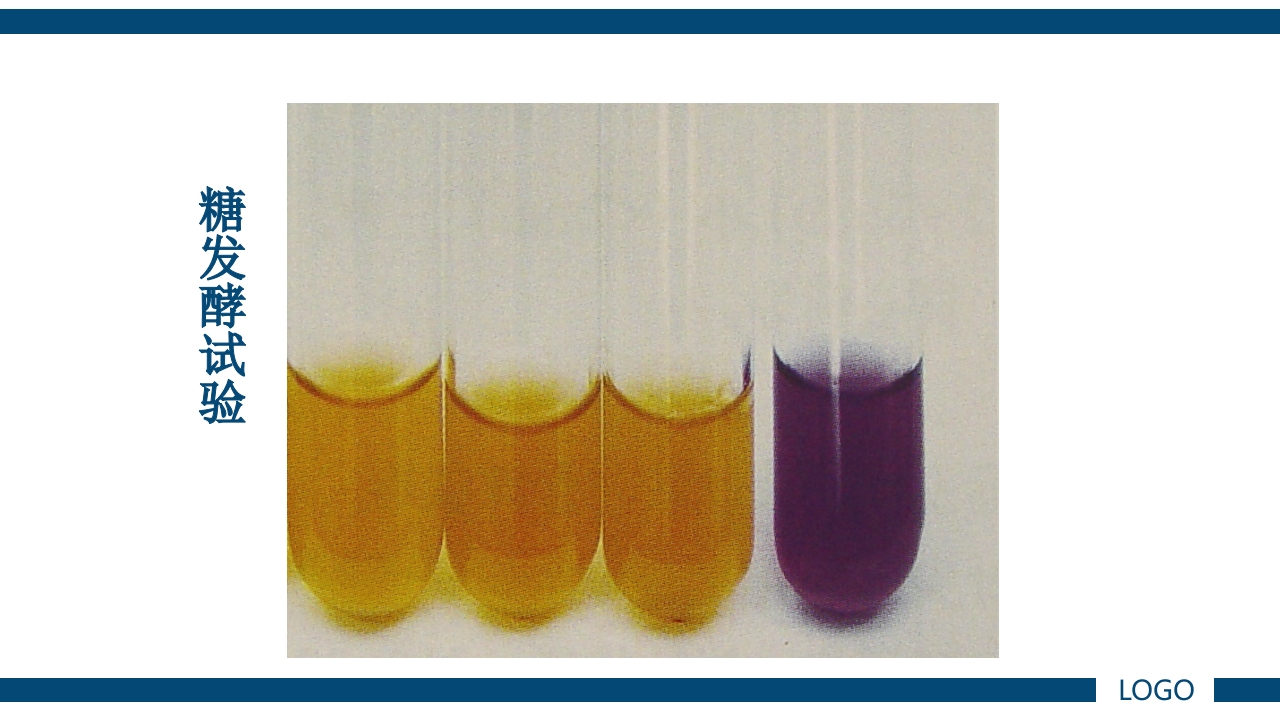 微生物实验·细菌的人工培养及形态学检查PPT课件56