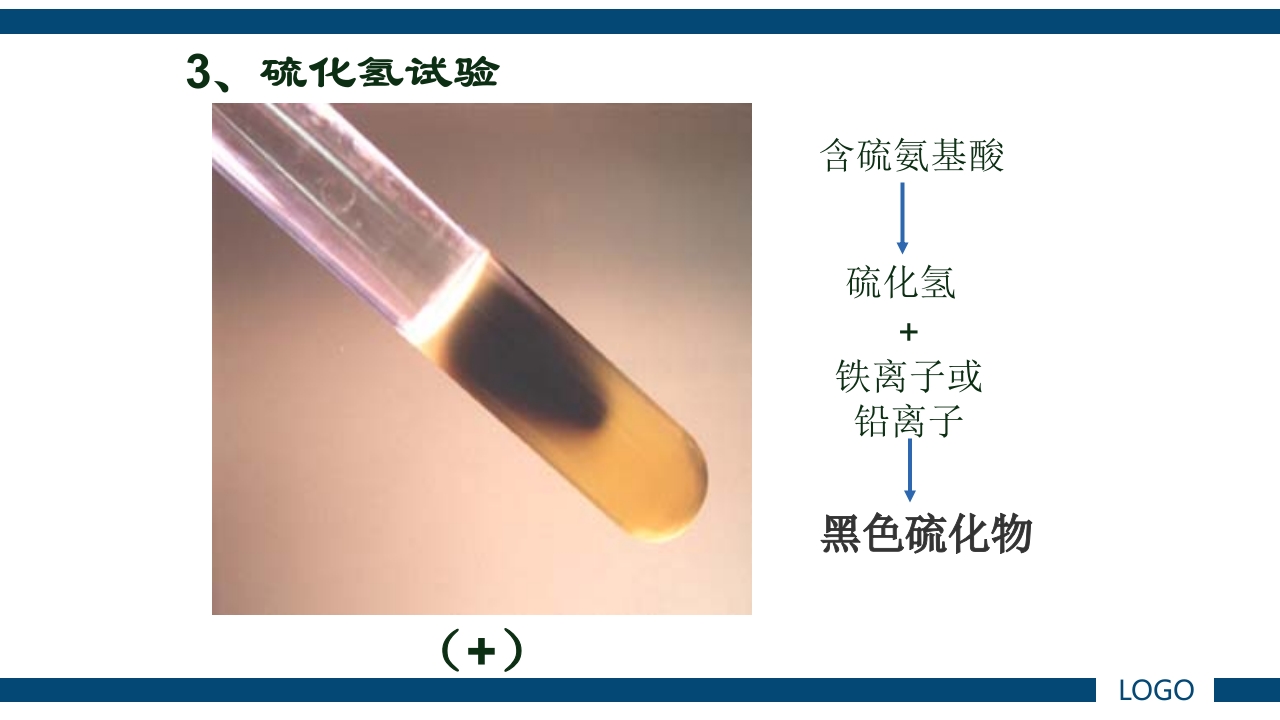 微生物实验·细菌的人工培养及形态学检查PPT课件57