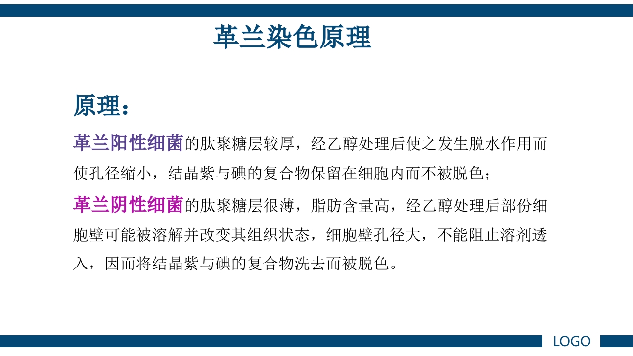 微生物实验·细菌的人工培养及形态学检查PPT课件63