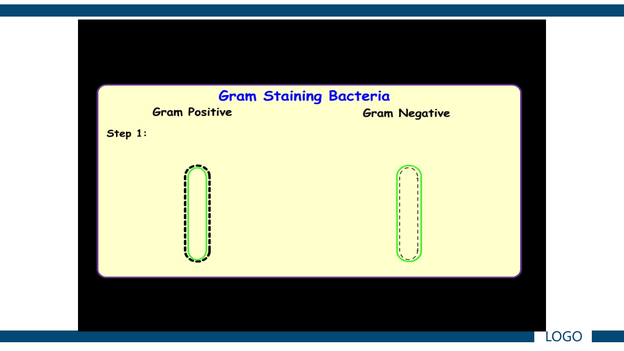 微生物实验·细菌的人工培养及形态学检查PPT课件64