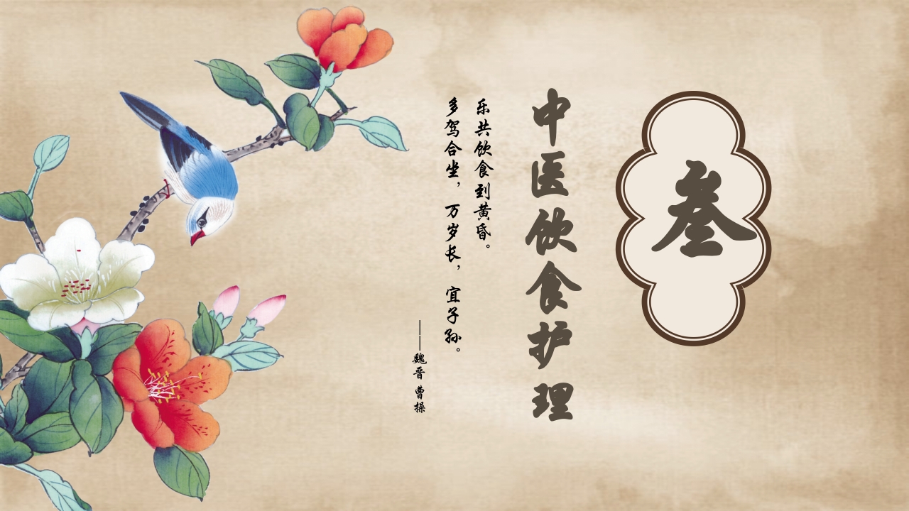 中医护理常规培训课件PPT课件18