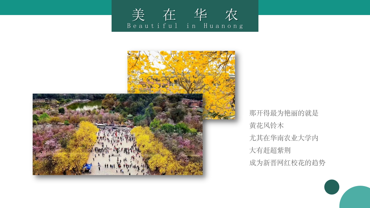 华南农业大学大学简介PPT课件18