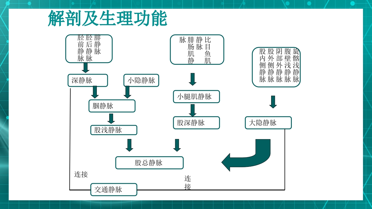 原发性下肢静脉曲张PPT课件6