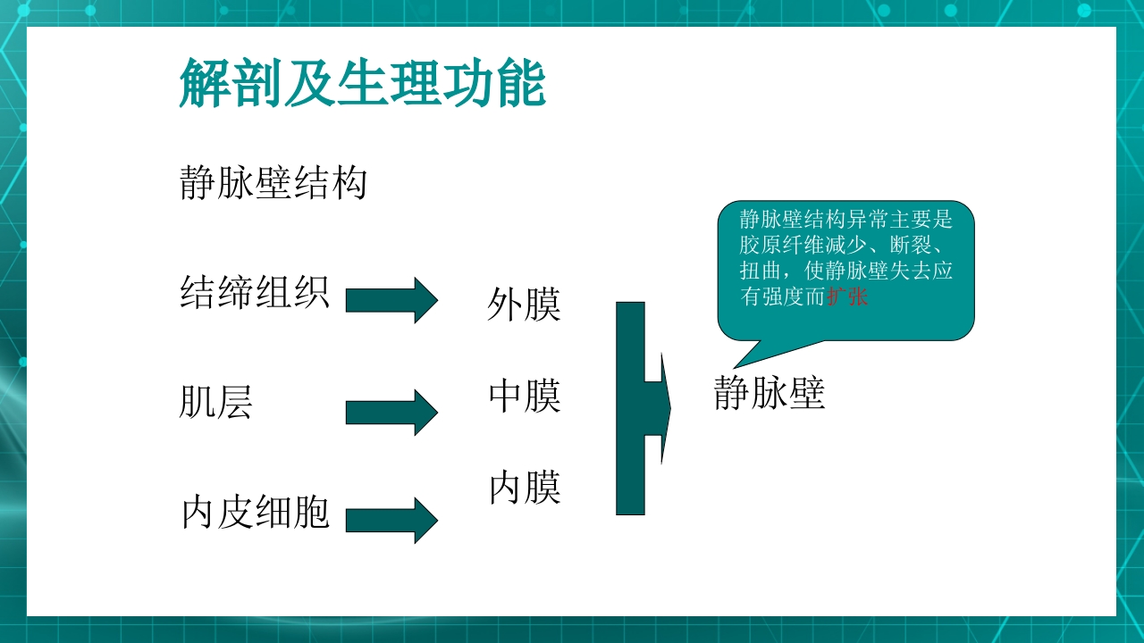 原发性下肢静脉曲张PPT课件8