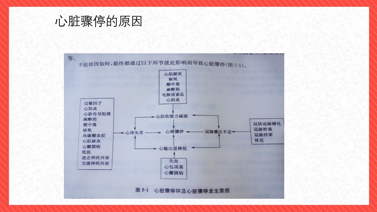 心脏骤停与心肺脑复苏术PPT课件6