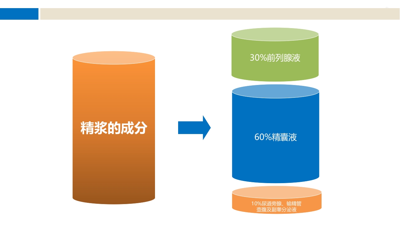 前列腺尿道注药冲洗引流导管技术ppt课件2
