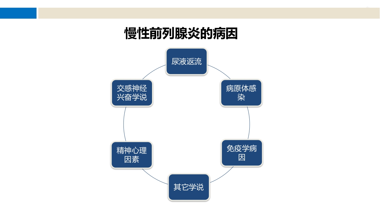 前列腺尿道注药冲洗引流导管技术ppt课件7
