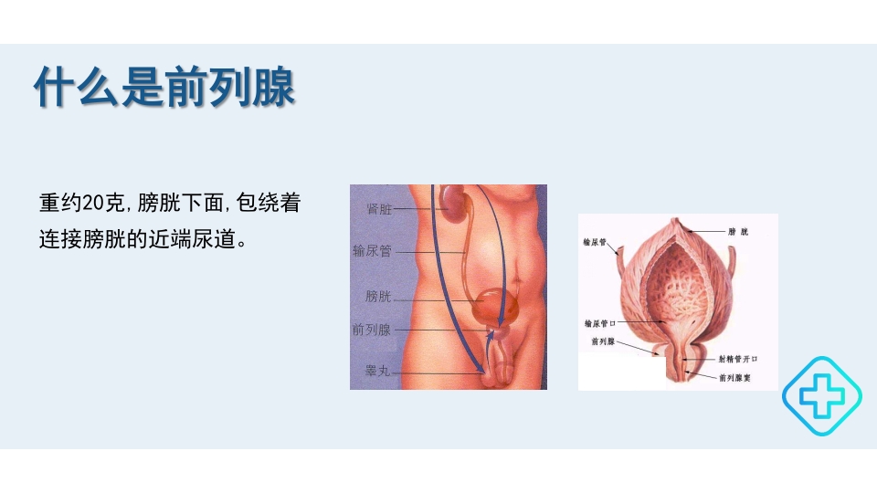 前列腺增生的护理护理查房PPT课件4
