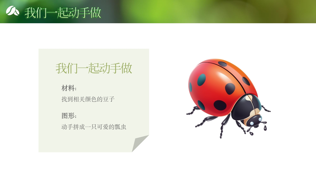 《奇妙的种子》大班科学观察ppt课件16