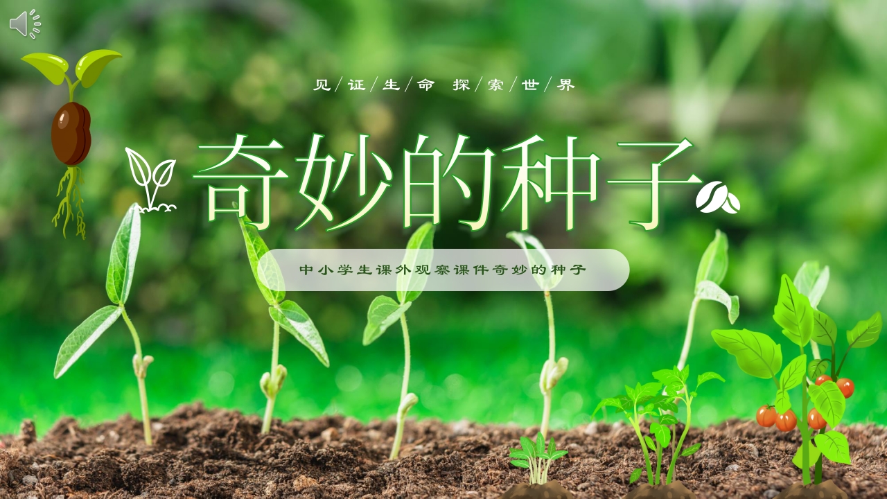 《奇妙的种子》大班科学观察ppt课件1
