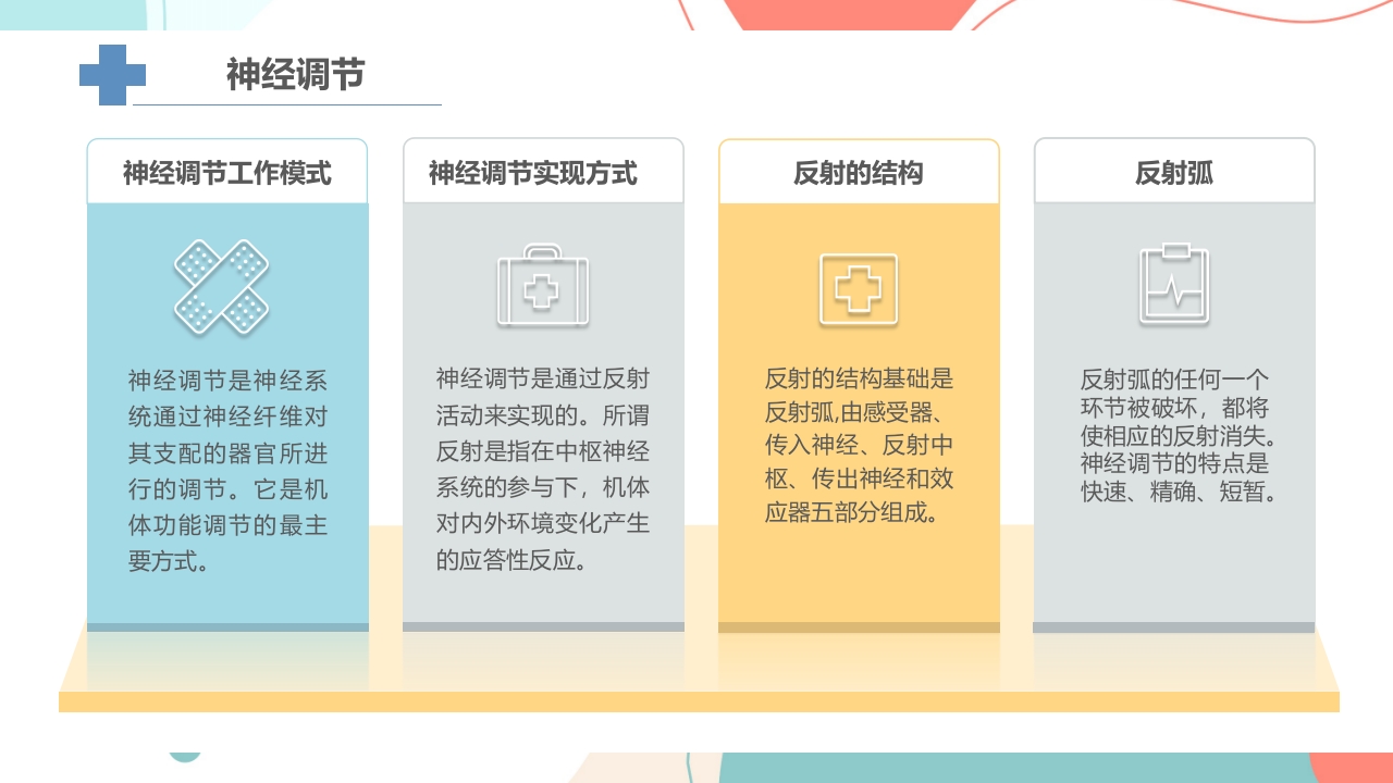 宠物解剖生理讲座PPT课件13