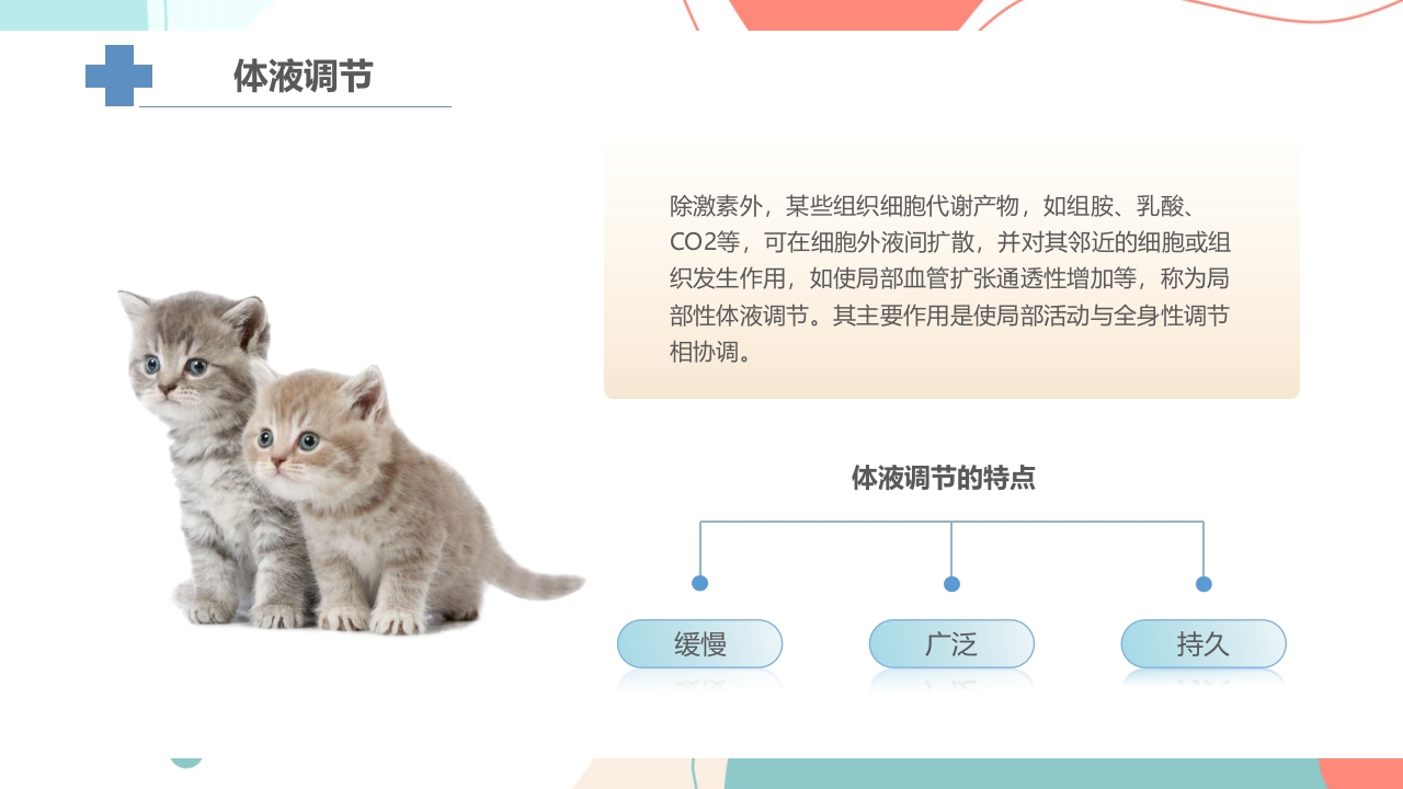 宠物解剖生理讲座PPT课件15