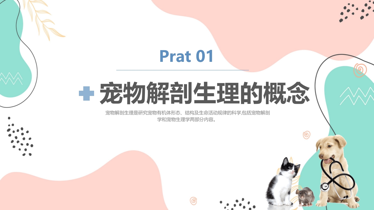 宠物解剖生理讲座PPT课件3