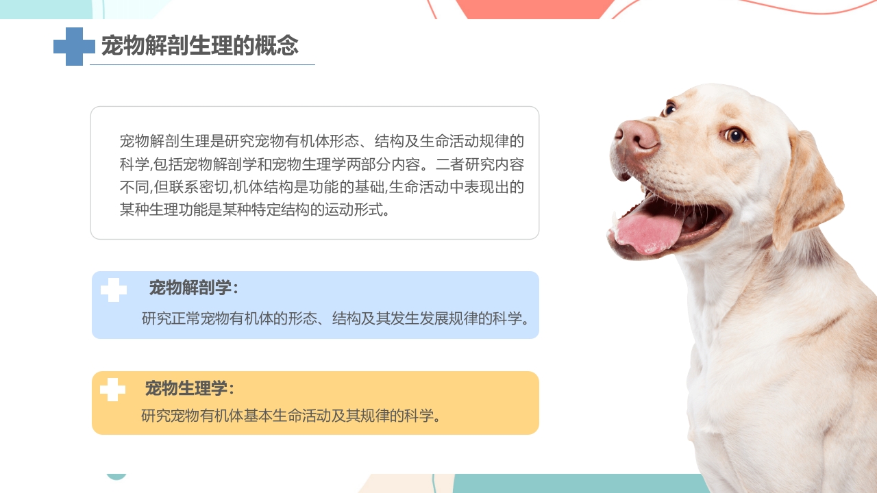 宠物解剖生理讲座PPT课件4