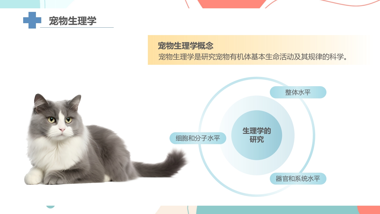 宠物解剖生理讲座PPT课件7