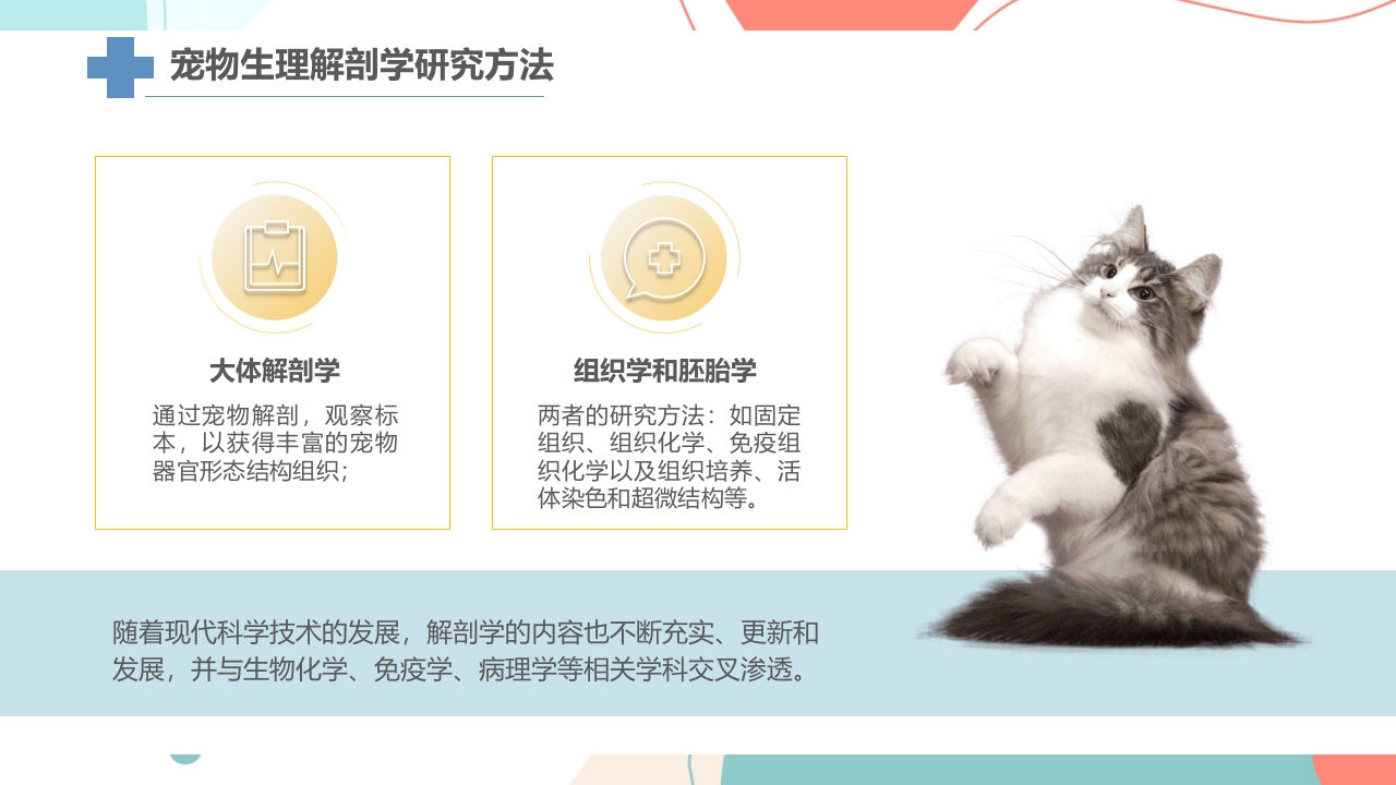 宠物解剖生理讲座PPT课件9