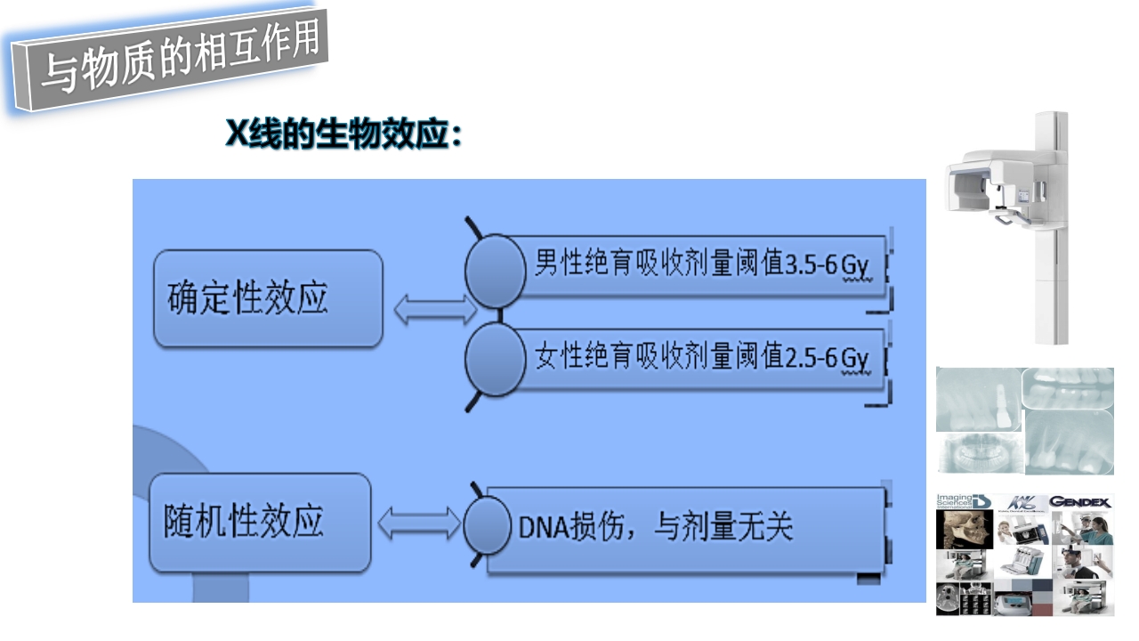 口腔影像基础PPT课件30