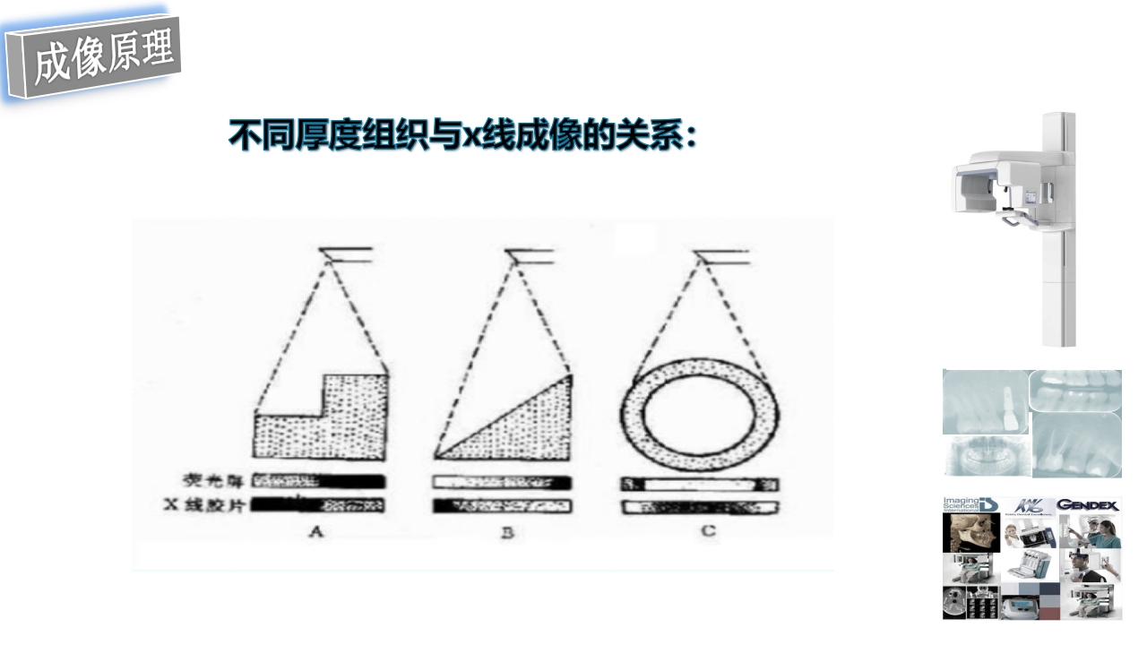 口腔影像基础PPT课件44