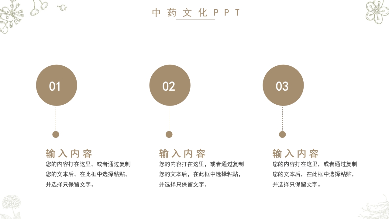 中药文化知识PPT模板11