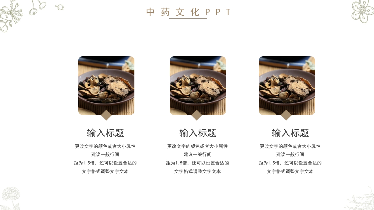 中药文化知识PPT模板14