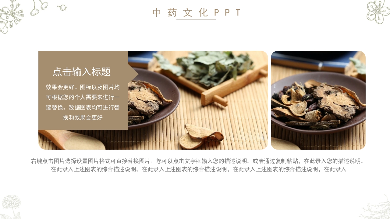 中药文化知识PPT模板16