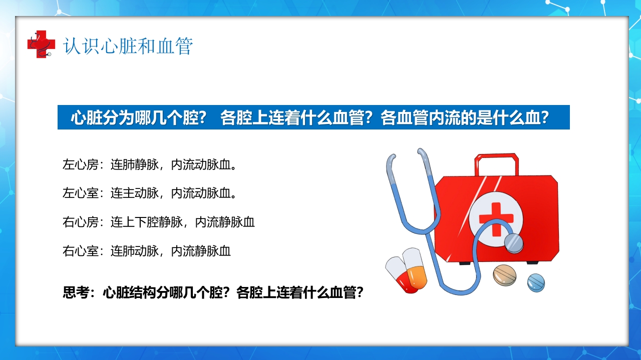 医学百科之血液循环知识讲座汇报宣传PPT课件10