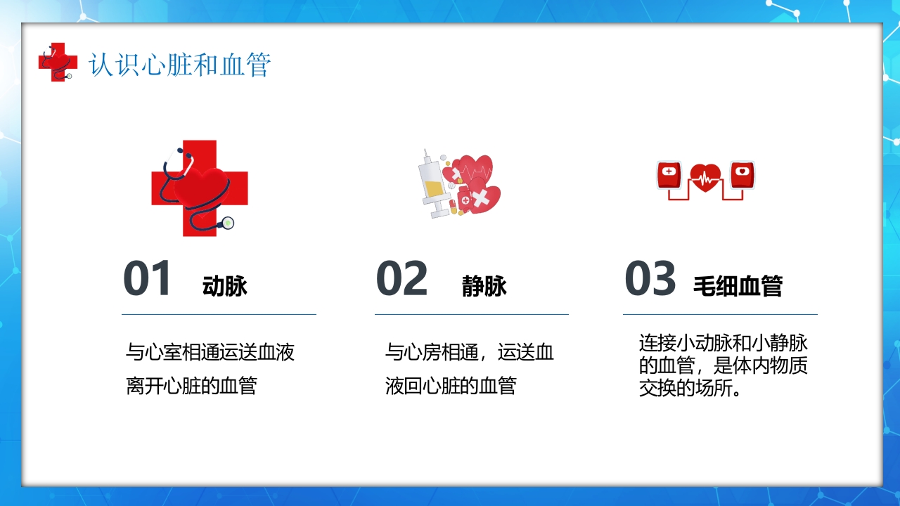医学百科之血液循环知识讲座汇报宣传PPT课件11